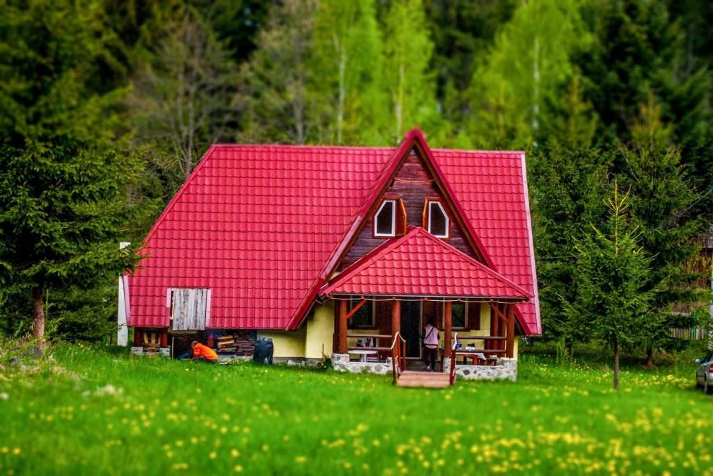 Лоджи Doi Frati Топлица